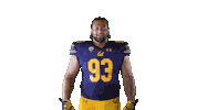 Uc Berkeley Go Bears Sticker by Cal Athletics