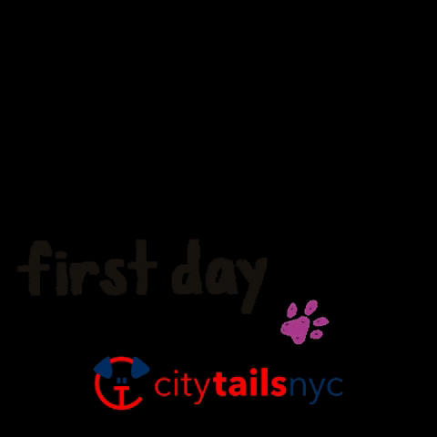 GIF by City Tails NYC