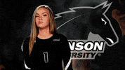 gomustangsports volleyball gomustangsports stevensonuniversity suwvb GIF