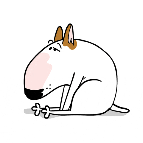 Tired Bull Terrier GIF by Jimmy the Bull