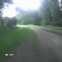 Camera Fail GIF by FIA World Rally Championship