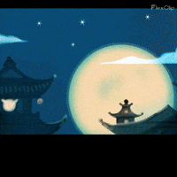 Black Cats GIF