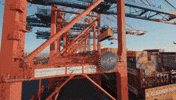 Container Wilhelmshaven GIF by Hapag-Lloyd AG