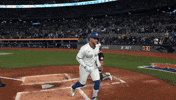 Blue Jays Celebration GIF by Toronto Blue Jays