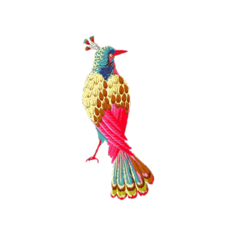 Rainbow Moving Sticker by Imbarro Home & Fashion