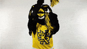 Cheer Celebrate GIF by Kennesaw State University