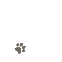 Cat Sticker by VetPartners