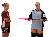 Floorball Salibandy Sticker by F-liiga