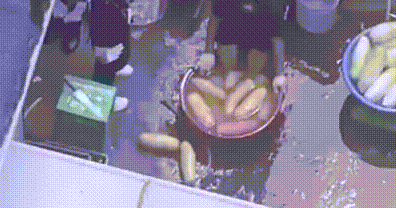 insights___ giphyupload GIF