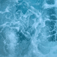 face expression GIF by GIPHY CAM