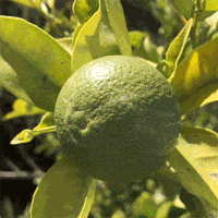 face expression GIF by GIPHY CAM