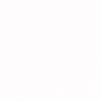 Surf Surfing GIF by DIVIN'DUCK