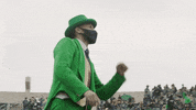 Notre Dame Ireland GIF by Notre Dame Fighting Irish