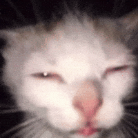 Squinting For Real GIF