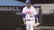 Uta Strikeout GIF by UT Arlington Baseball