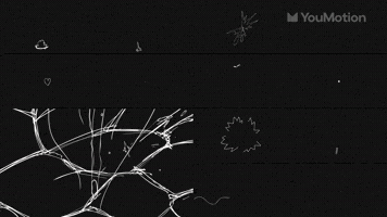 Abstract Scribble Animations Set