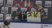 happy ice hockey GIF by NHL