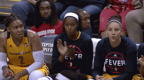 wnba GIF by Indiana Fever
