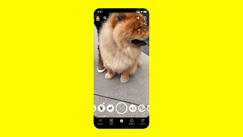 Lens GIF by Futurebiz