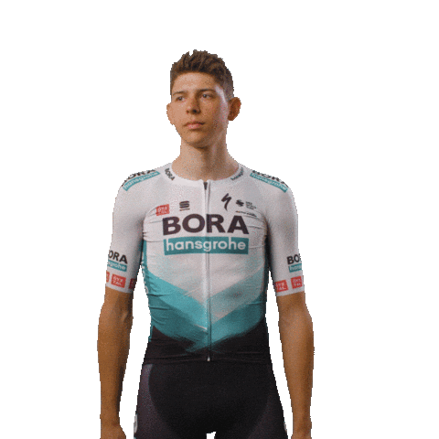 BORA-hansgrohe giphyupload patrick look up bora Sticker