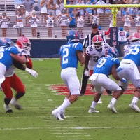 Florida Football Gatorsfb GIF by Florida Gators