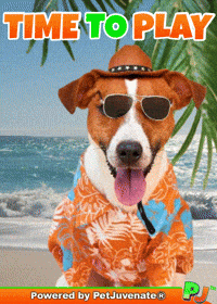 Play Time Fun Player Playa Wow Fri Yay Friday Pj Petjuvenate Dog Mom And Pet Parent Caretakers GIF by PetJuvenate - PJ