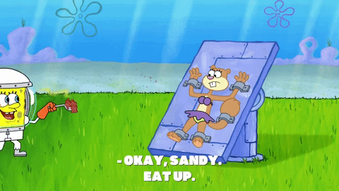 episode 1 GIF by SpongeBob SquarePants