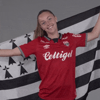 Bzh Breizh GIF by EA Guingamp