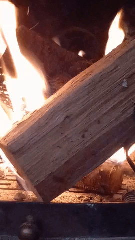 Simongip giphyupload GIF