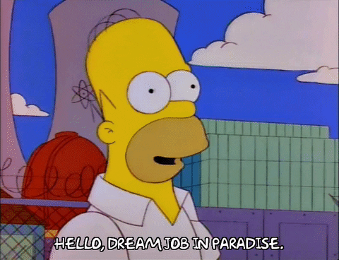 homer simpson episode 13 GIF