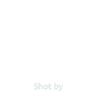 Sticker by Flyloops