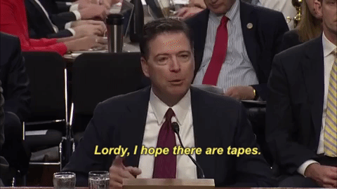GIF by Quartz