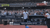 Baseball Wave GIF by YES Network