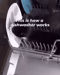 Cat Dishes GIF by Respective