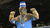 New Orleans Fans GIF by Detroit Lions