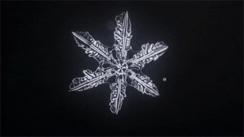 time snowflake GIF