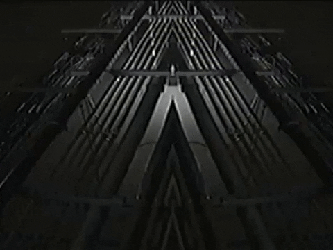 Footage Oaf GIF by jorgemariozuleta