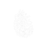 sourcedespins heart pin pomme pigne Sticker