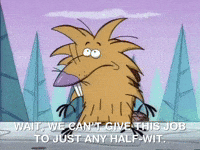angry beavers nicksplat GIF