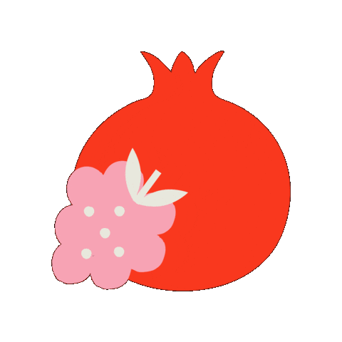 DRINKSUPERPOP giphygifmaker fruits granatapfel superpop Sticker