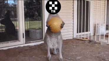 Drop Dissapointing GIF by OKX TR