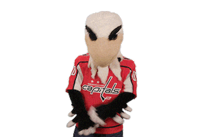 Ice Hockey Sport Sticker by NHL