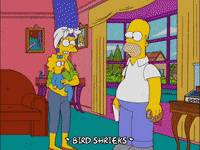 homer simpson episode 6 GIF