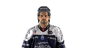 Bouchard Sticker by Les Ducs d'Angers