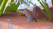 Im Out See Ya GIF by University of Florida