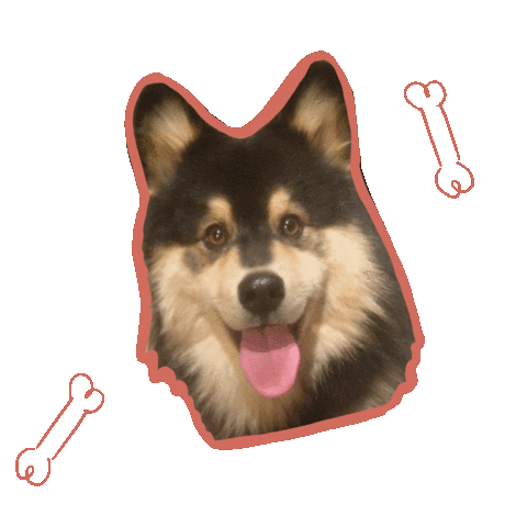 Good Boi Sticker by Lauranne leest
