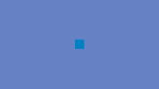 Art Video GIF by jorgemariozuleta