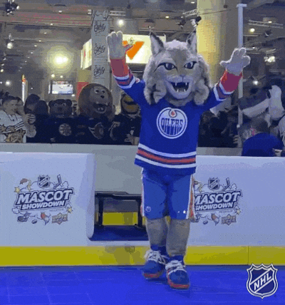 Ice Hockey GIF by NHL