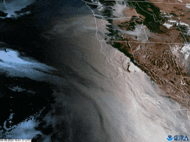 California Wildfires GIF by GIPHY News
