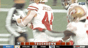 Regular Season Football GIF by NFL